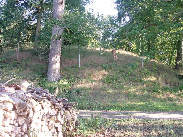 Hamstead Marshall Mottes